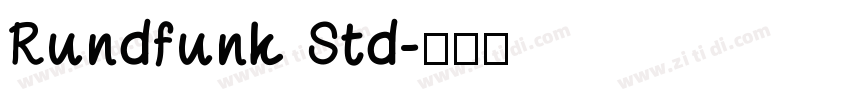 Rundfunk Std字体转换